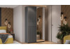 Шкаф-купе с 1 глухой и 1 зеркальной дверями «Оскар Хилтон» Ручка серебро, Серый графит, Графит матовый