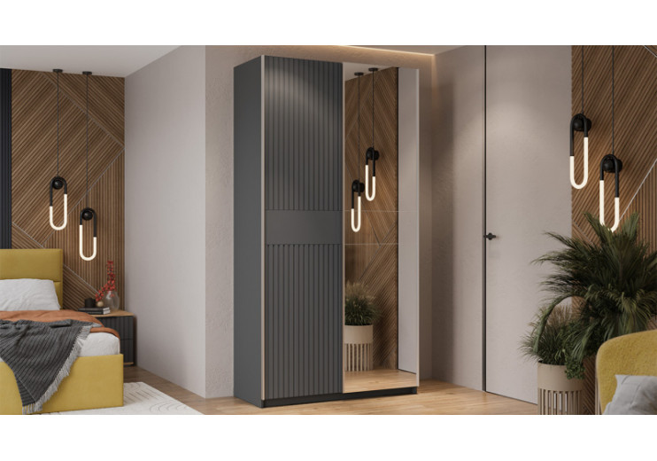 Шкаф-купе с 1 глухой и 1 зеркальной дверями «Оскар Хилтон» Ручка серебро, Серый графит, Графит матовый