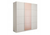 Шкаф-купе Прайм 3-х дверный (ЛДСП, Стекло пудра) окутанный